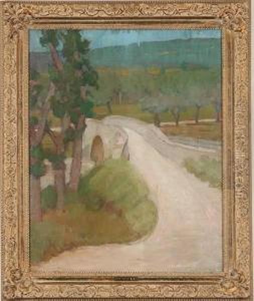 Bridge In The Road - view 1