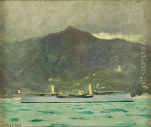 A Passing Steamship - view 1
