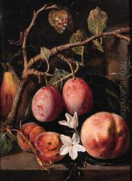 Plums, Apricots On A Twig, A
Peach With Blossom And A Quince On Astone Ledge, With A Butterfly And A
Caterpillar Nearby - view 1