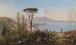 Naples And Castello Dell'ovo With Mount Vesuvius Beyond