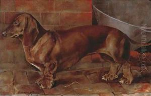 'Janita' K.C.S.B. 36511, a dachshund by Roger Fry