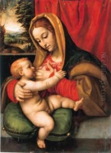 The Madonna And Child by Andrea Solario