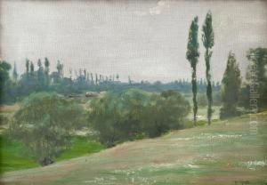 Aview From Italy by Venny Soldan-Brofelt