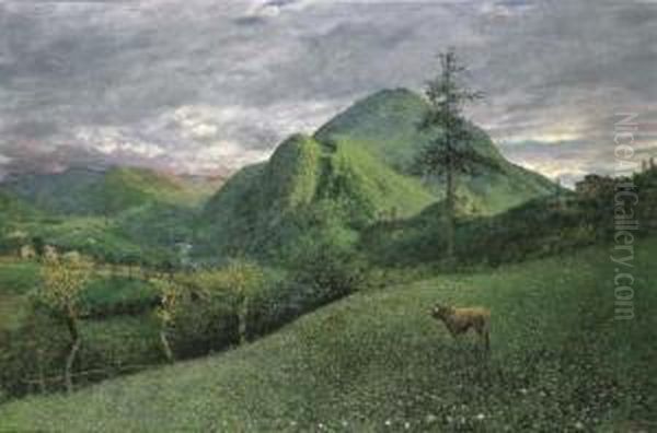 Paesaggio Montano - view 1
