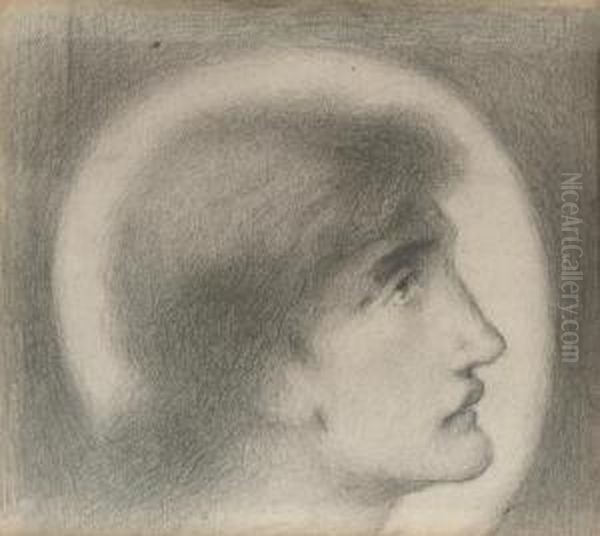 Study Of A Head, In Profile - view 1
