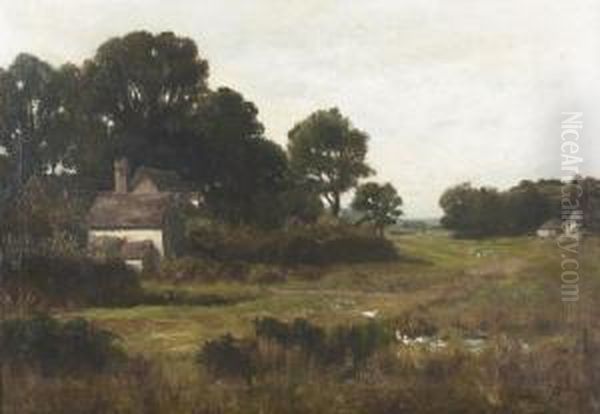Sommerliche Landschaft. - view 1