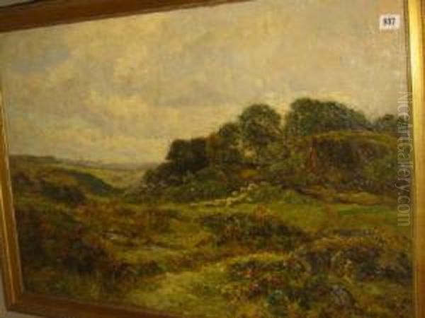 Pengweryn - view 1