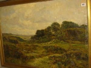 Pengweryn by Richard Gay Somerset