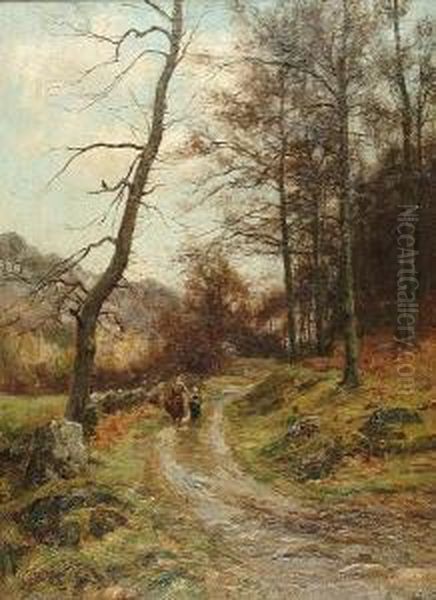Path Through Woods - view 1