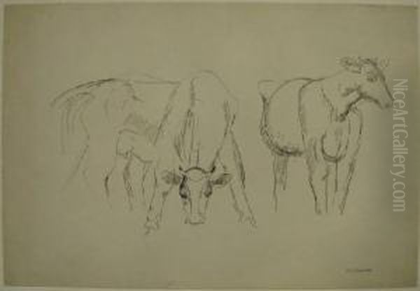 Two Cows - view 1
