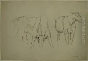 Two Cows Two Cows