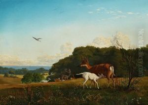 Deer In "dyrehaven" Gardens North Of Copenhagen by Jorgen Valentin Sonne