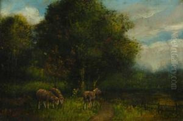 Depicting Grazing Sheep - view 1