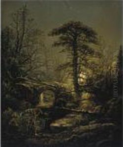 Night In The Forest Night In The Forest