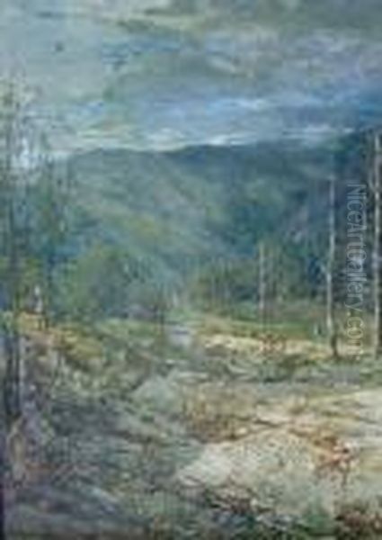 Clouds Gathering Over A Wooded Landscape - view 1
