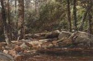 In The Deep Woods by William Louis Sonntag