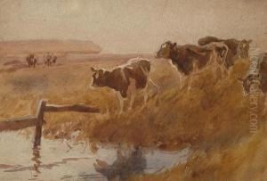 Cows By A River. Cows By A River.