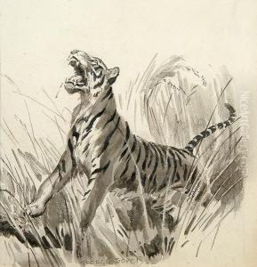 A Roaring Tiger by George Soper