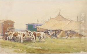 Circus Ponies by George Soper