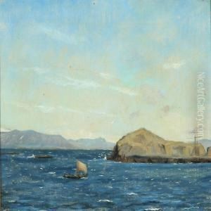 A Coast At Iceland by C. F. Sorensen