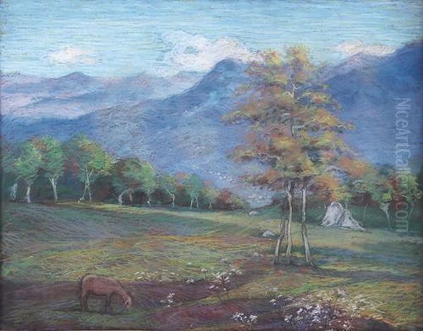 Pascolo - view 1