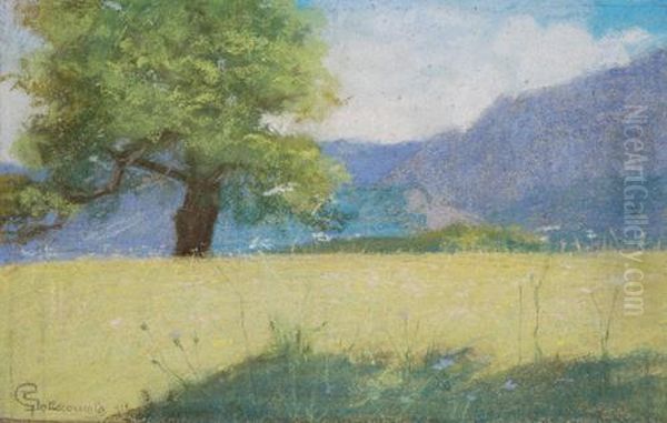 Paesaggio Con Albero - view 1