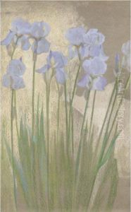 Iris by Giovanni Sottocornola