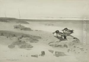Shoveller Ducks On The Saltings by Frank Southgate