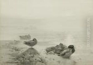 Wild Duck &amp; Teal: The Morning Sunbanks Through The Mist