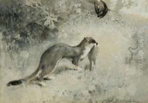Stoat With Catch by Frank Southgate