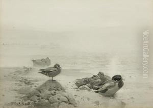 Wild Duck &amp; Teal: The Morning Sunbanksthrough The Mist - view 1