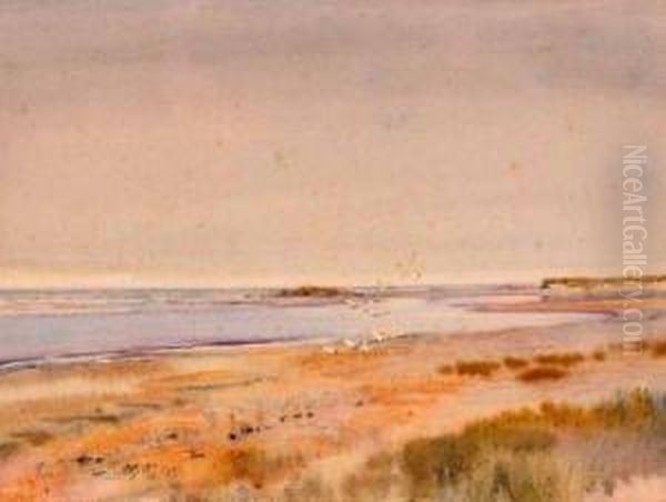 Gore Point Holme Towards Evening - view 1