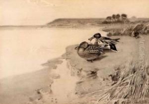 Ducks By Water's Edge by Frank Southgate