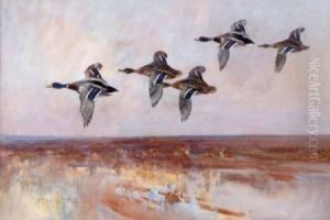 Mallard In Flight Over An Estuary