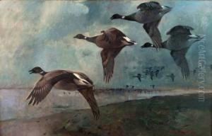 Brent Geese Reputed To Be On The Shoreline Of The Marshes At Wells-next-the-sea by Frank Southgate