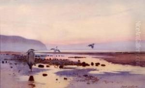 Heron - Time To Go by Frank Southgate
