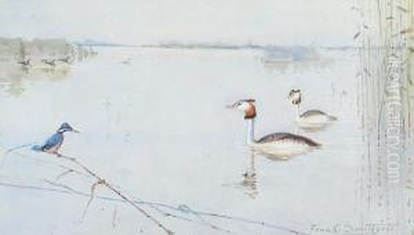 Nordolk Broads Scene - view 1