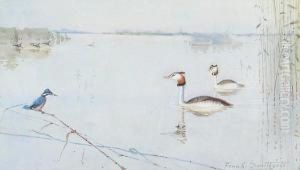 Nordolk Broads Scene by Frank Southgate