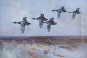 Mallard Inflight