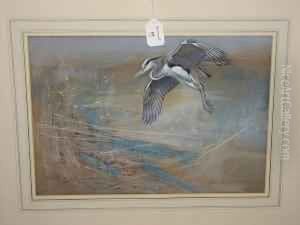Hermit Of The Waste, Heron by Frank Southgate