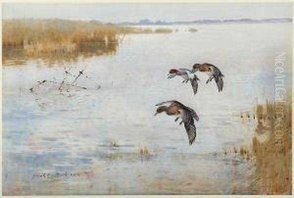 Ducks Landing - view 1