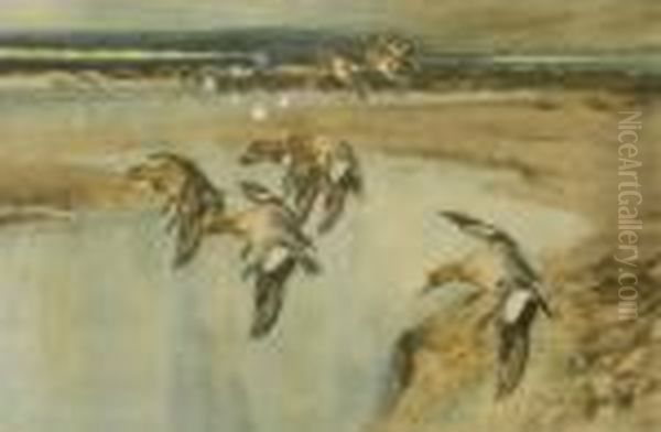 Colour Print Of Landingducks - view 1