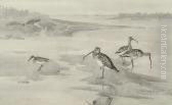 Mixed Waders On The Foreshore - view 1