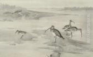 Mixed Waders On The Foreshore by Frank Southgate