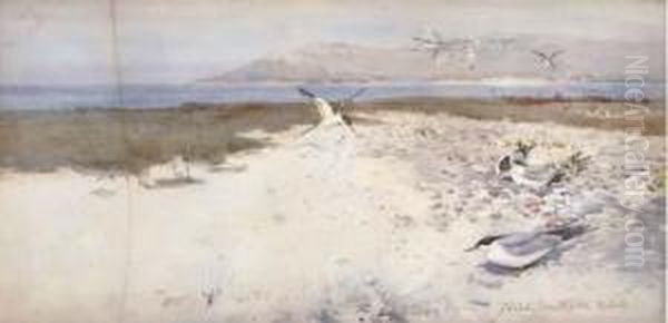 Gulls On The Beach - view 1