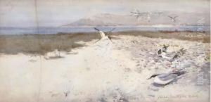 Gulls On The Beach by Frank Southgate