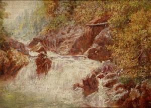 Torrentera by Alfredo Souto Cuero