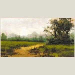 Paisaje De Lugo by Alfredo Souto Cuero