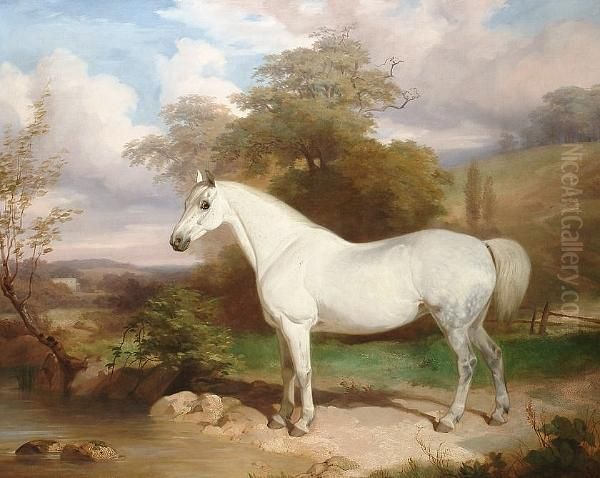 A Grey Mare In An Extensive Landscape - view 1