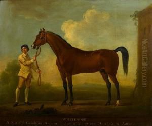 Portrait Of Whitenose With A Groom